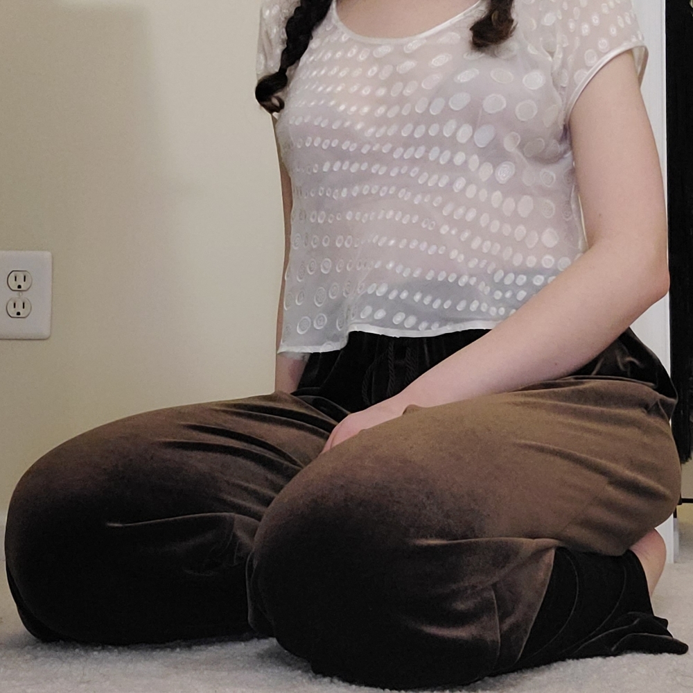 soft surroundings brown velvet casual pants